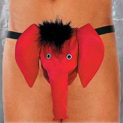 'Elephant'-funny briefs